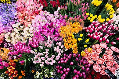 国外玩家花1600美元 购买一款稀有的芭比娃娃3DS游戏